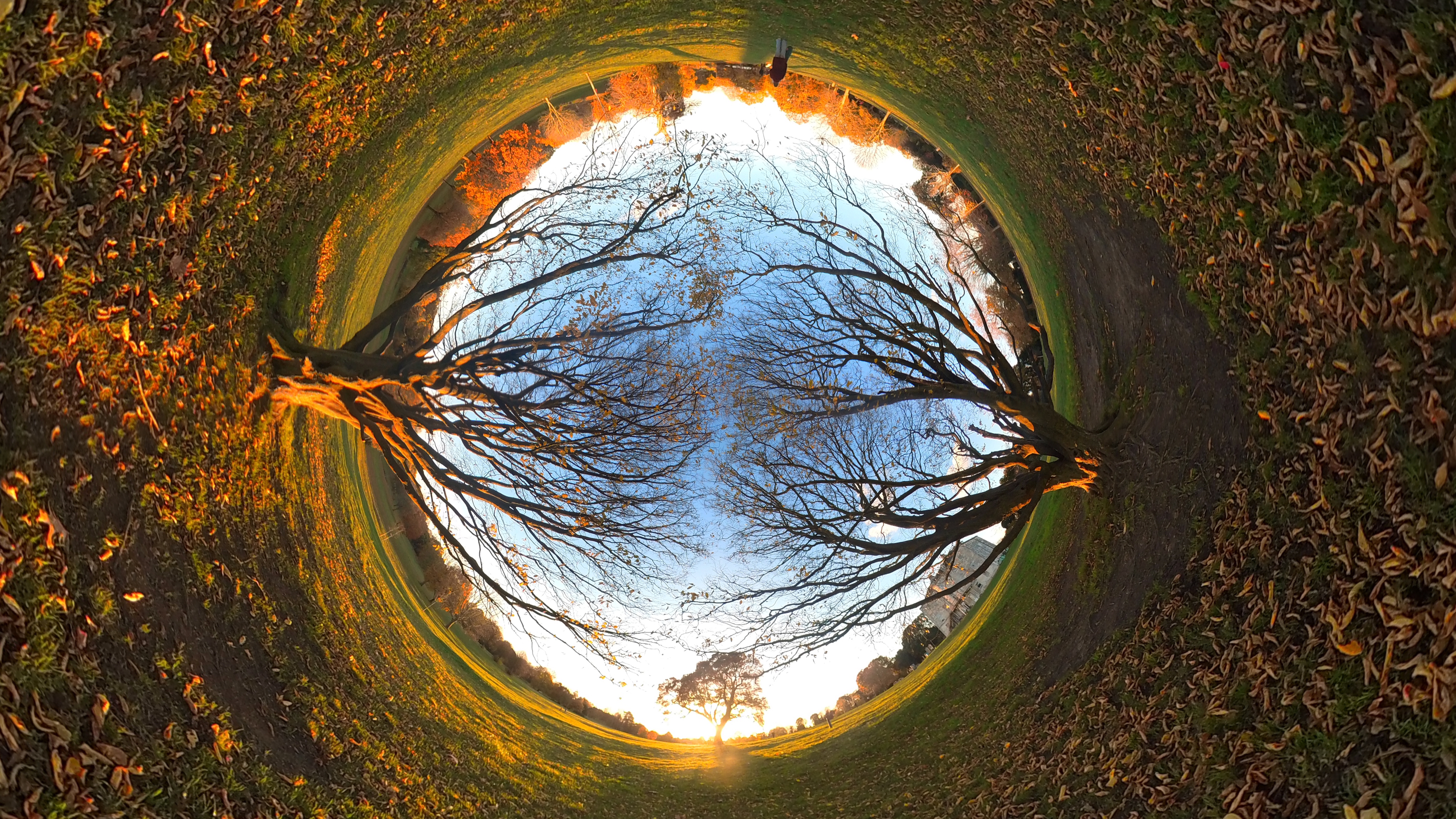 Another Perspective 2